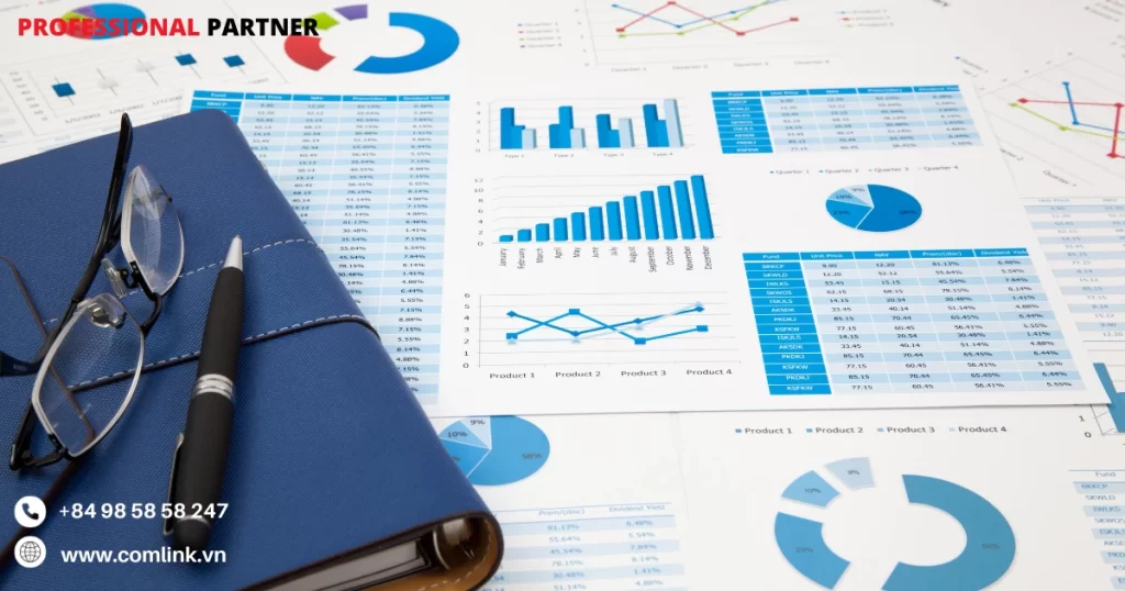 Phần mềm báo cáo biểu đồ Bi