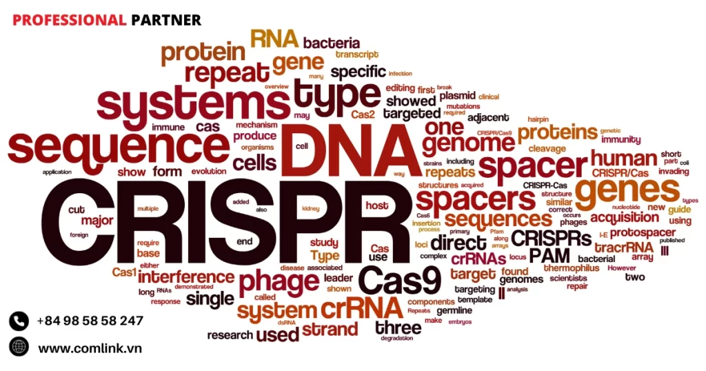 Kỹ thuật Gen CRISPR-Cas9