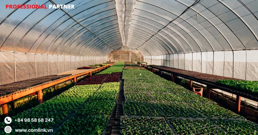 Điều khiển hệ thống thuỷ canh