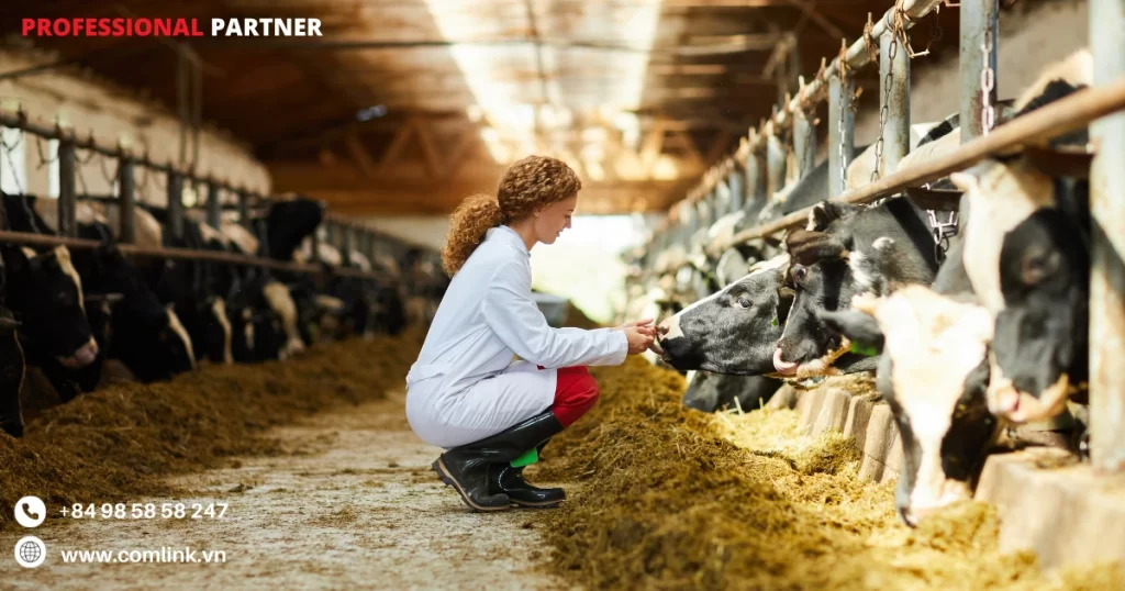 Giám sát sức khoẻ gia súc