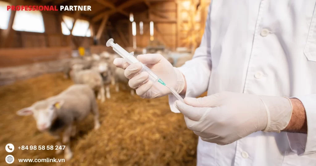 Ngăn chặn dịch bệnh gia súc