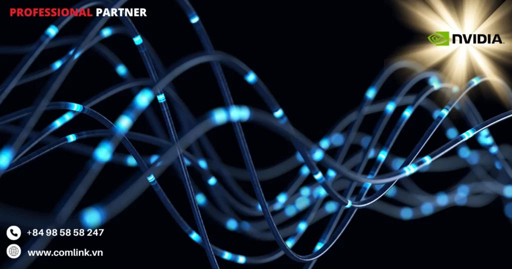 Đặc điểm nổi bật