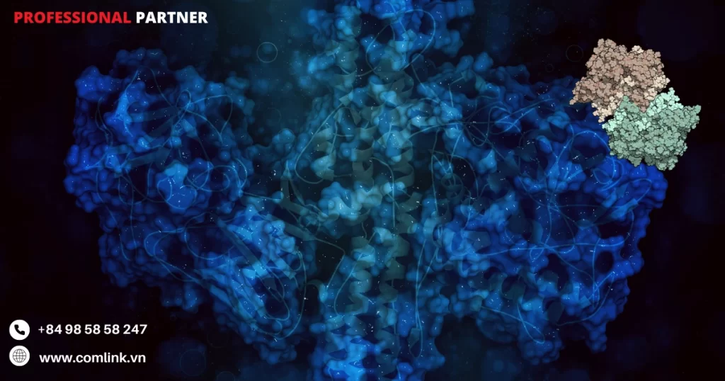 Lợi ích của Meld