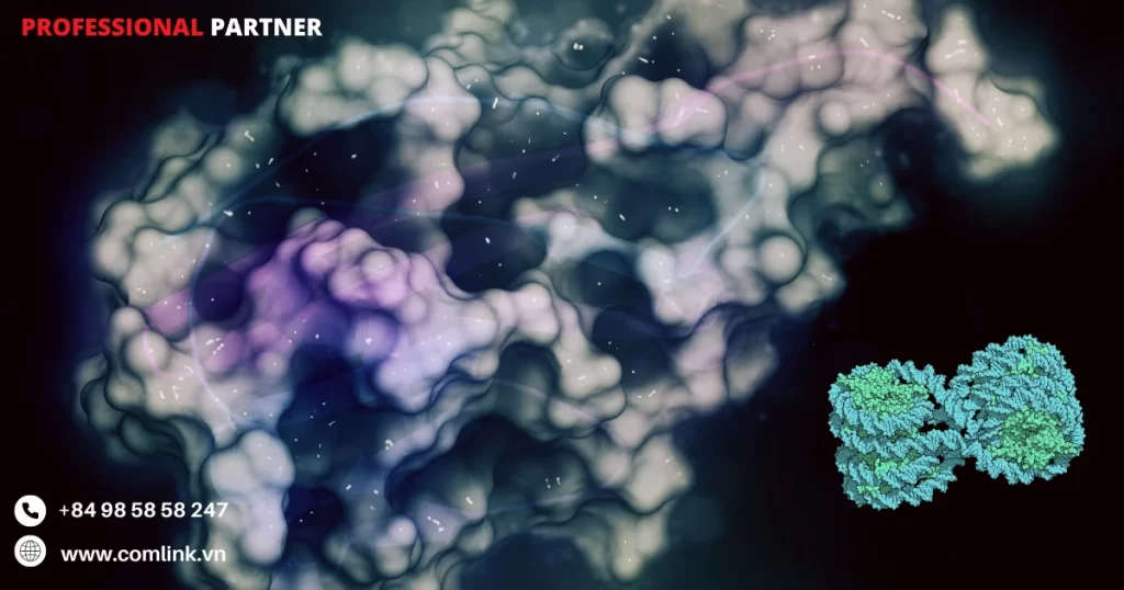 Quy trình xác định cấu trúc Protein