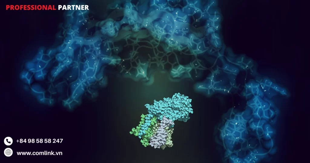 Ứng dụng của Meld
