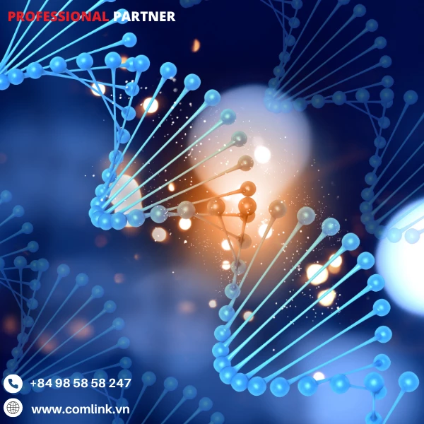 Thành phần Zoom Room