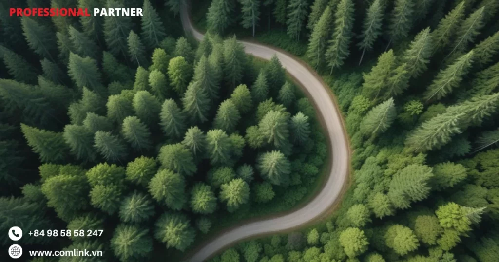 Bước 5: Quy kết