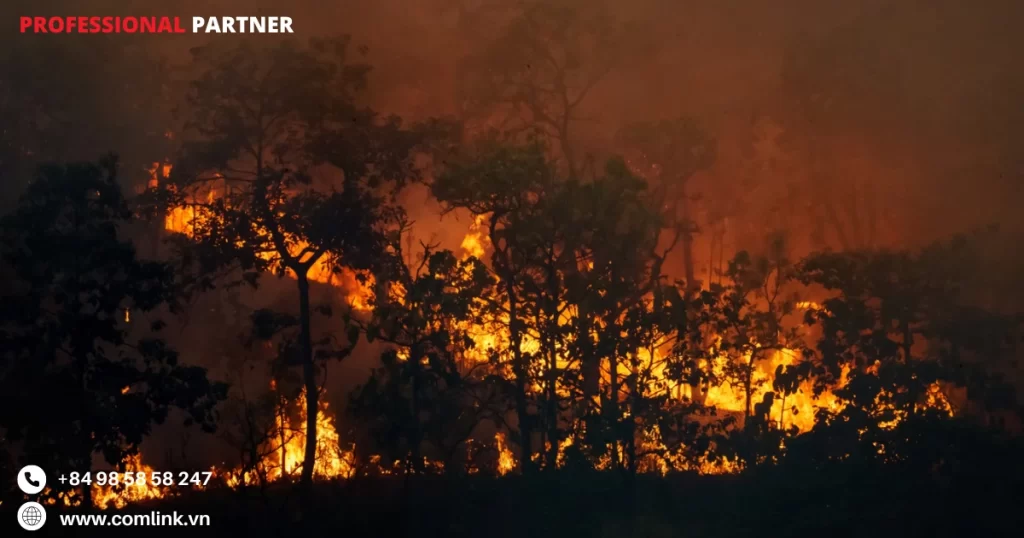 Thành phần của AI phát hiện cháy rừng