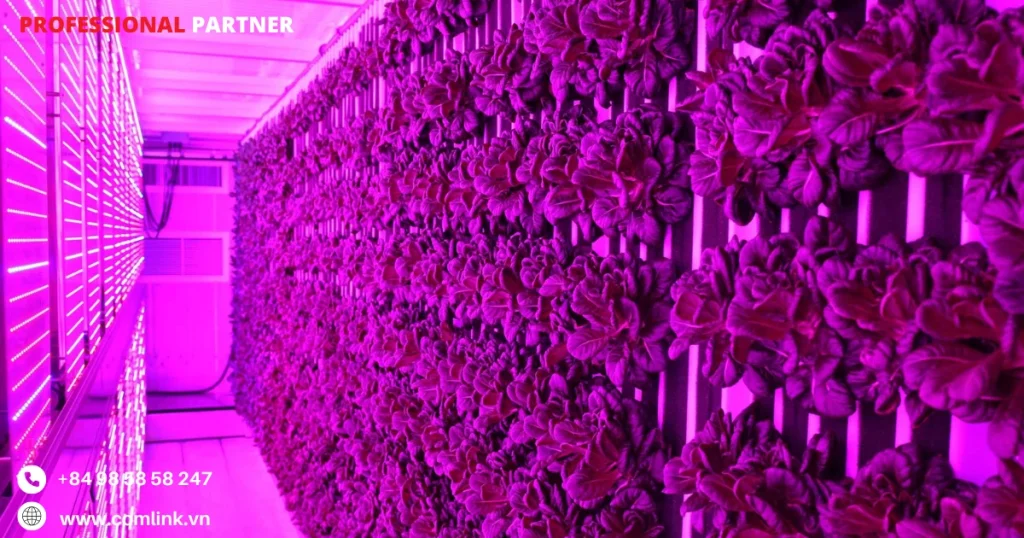 Hệ thống ánh sáng trong trang trại container