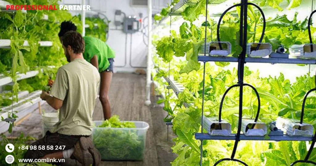 Khó khăn kết nối mạng trang trại container