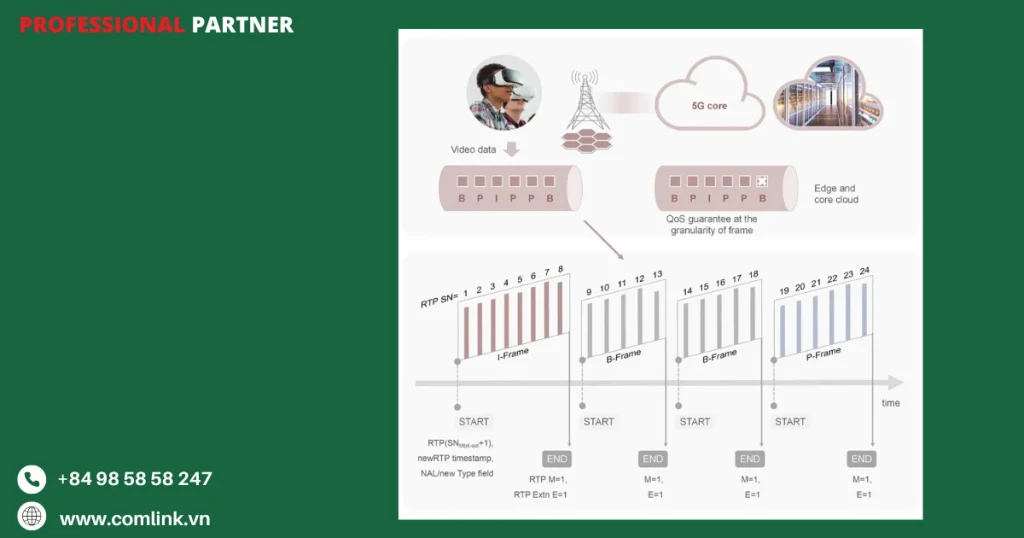 Hỗ trợ đa phương tiện và XR