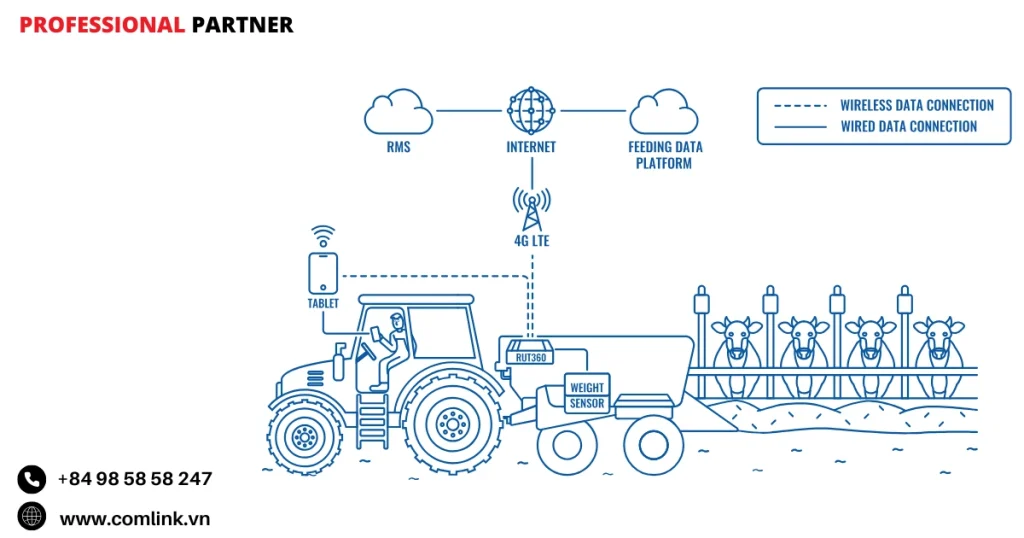 Đặc điểm việc cho bò ăn