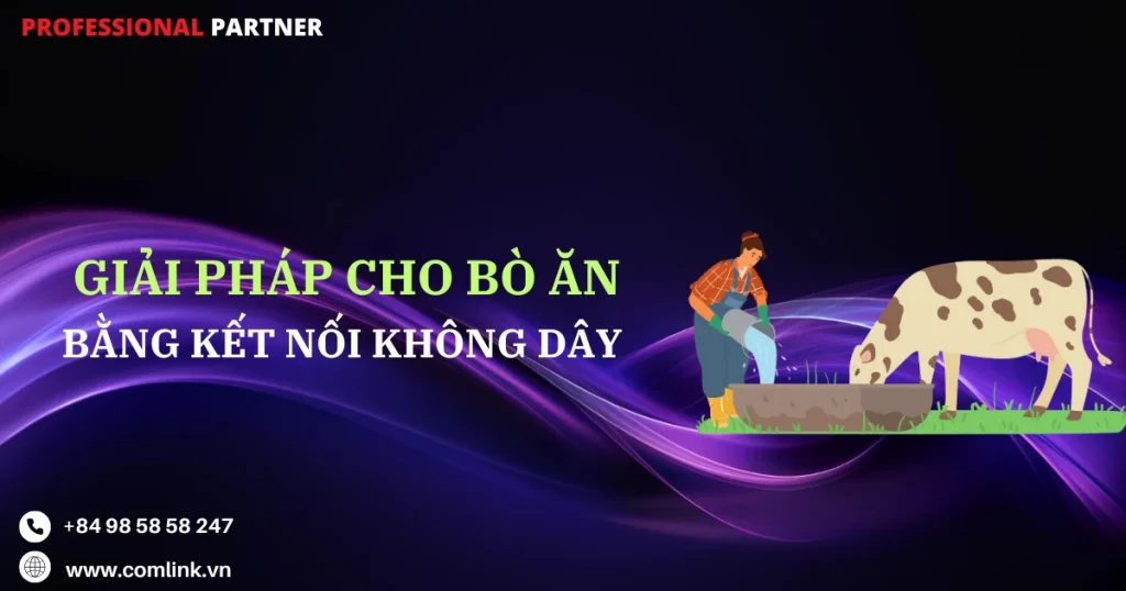 Hiện đại hóa việc cho bò ăn
