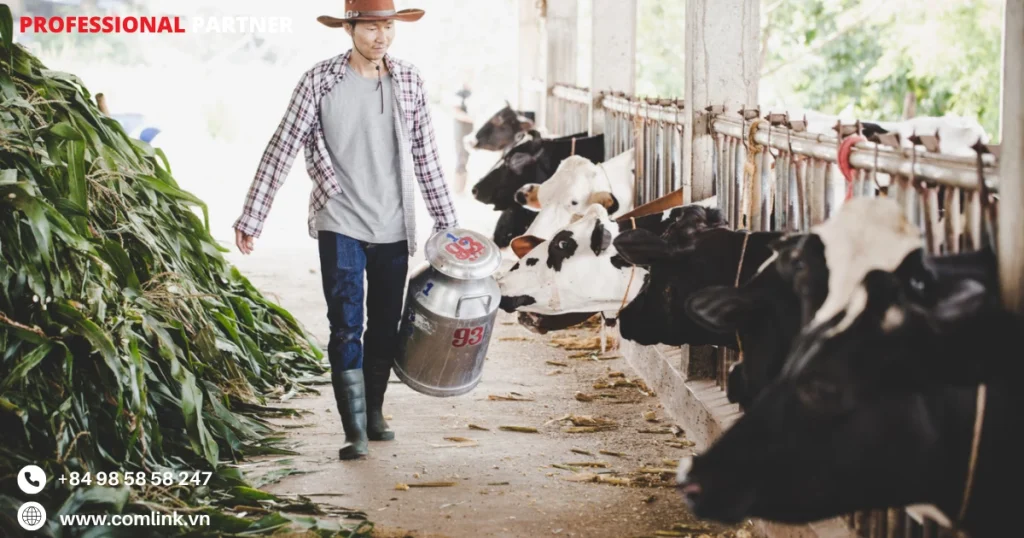 Nhu cầu truyền dữ liệu nuôi bò