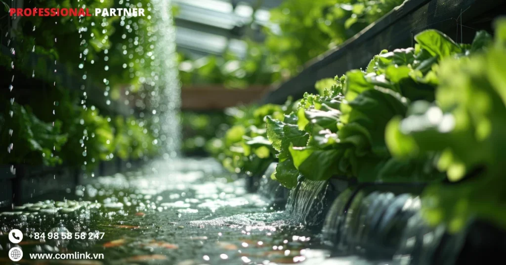 Phân tích dữ liệu để quyết định tưới