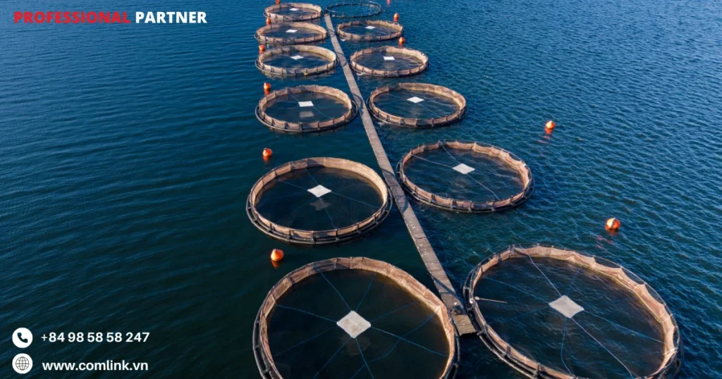 Chi phí triển khai mạng tốn kém