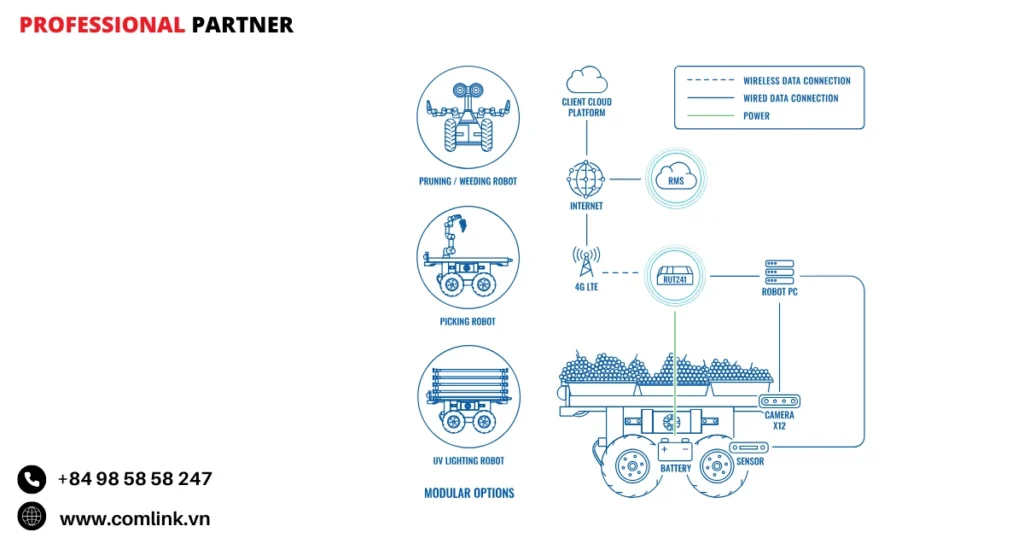 Đặc điểm chuyển đổi nông nghiệp