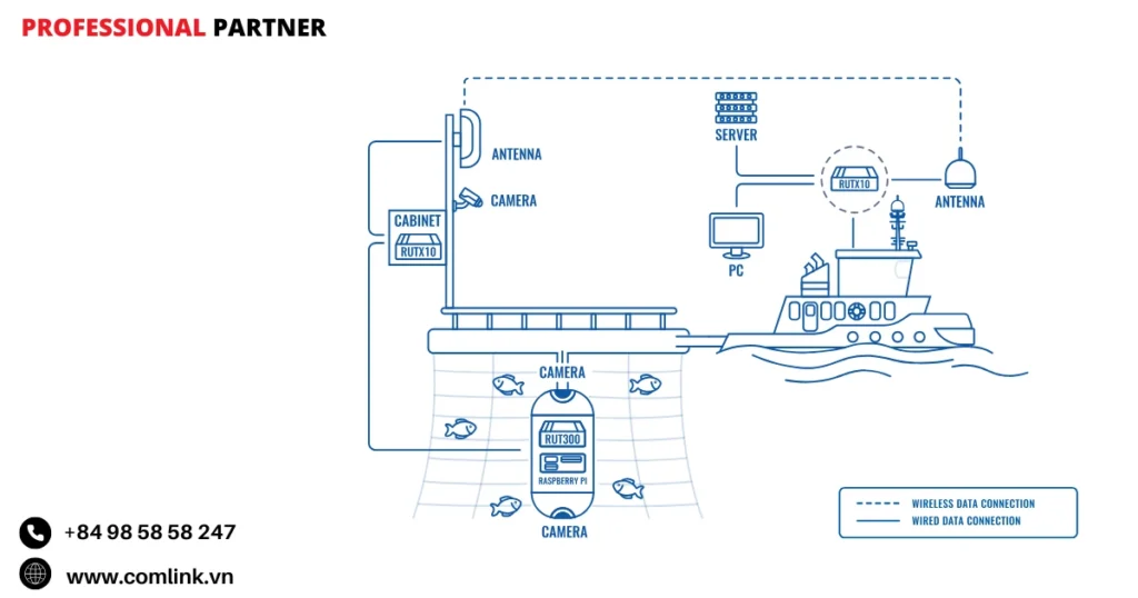 Đặc điểm kết nối hệ thống hải sản