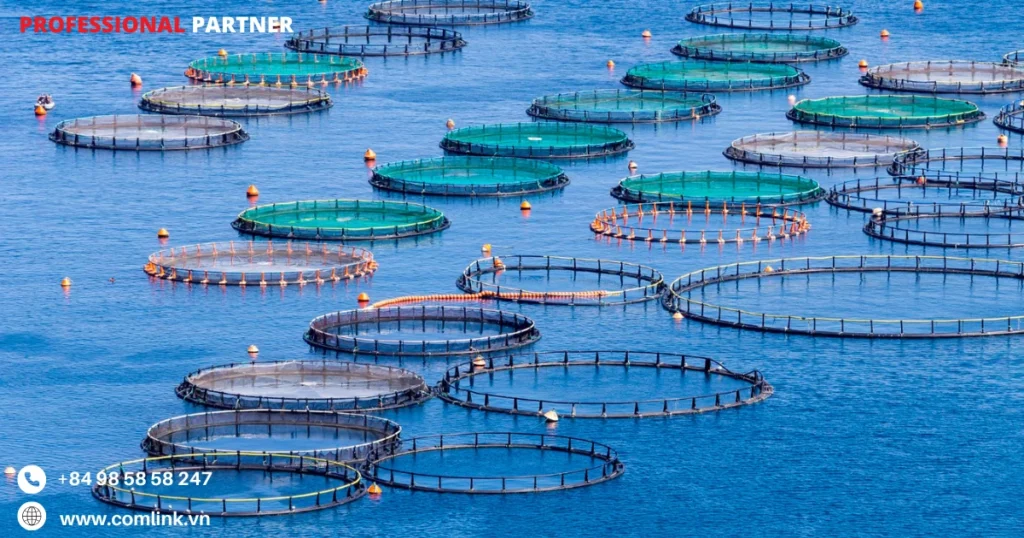 Hiệu quả về chi phí với giải pháp mạng