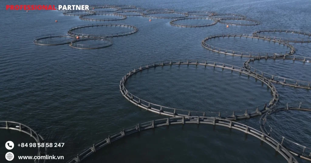 Hỗ trợ nhiều VLAN hoạt động