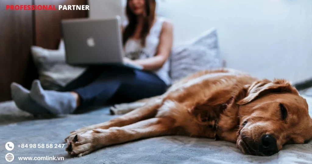 Khó khăn kết nối đến văn phòng