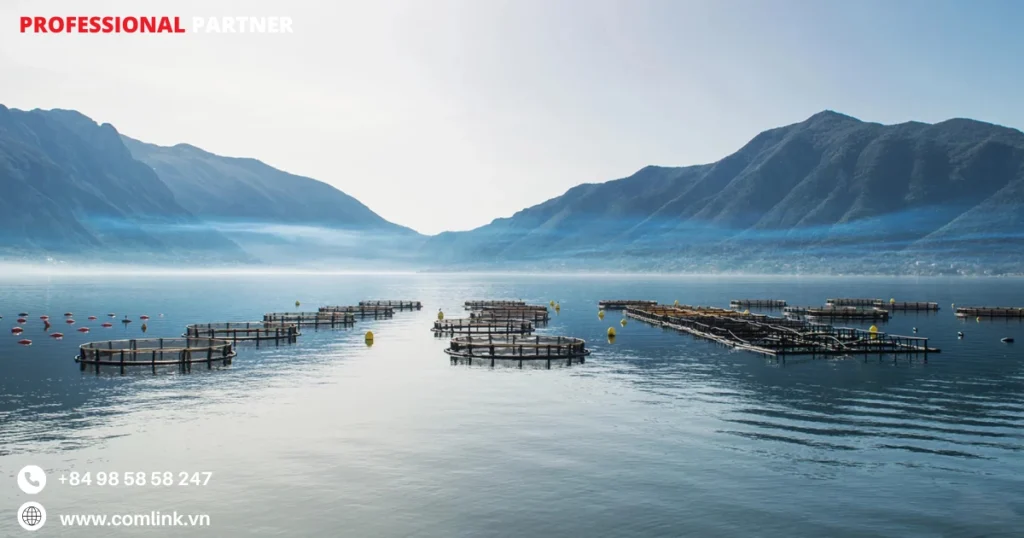 Khó khăn kết nối hệ thống hải sản