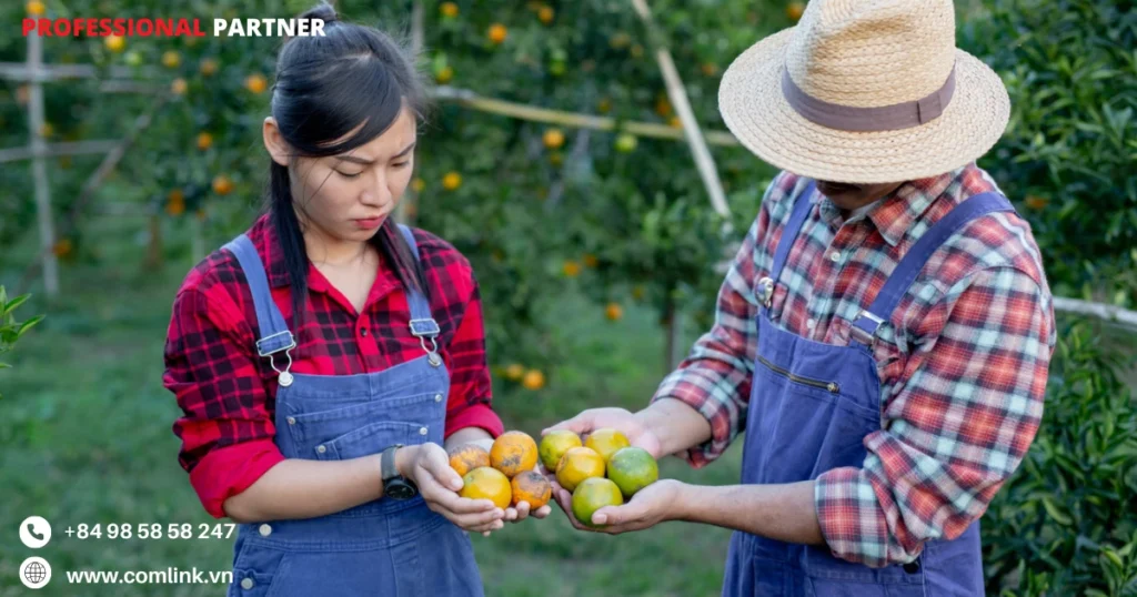Công cụ quản lý nâng cao người lao động