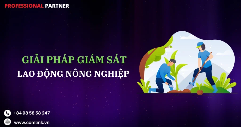 Giám sát lao động nông nghiệp