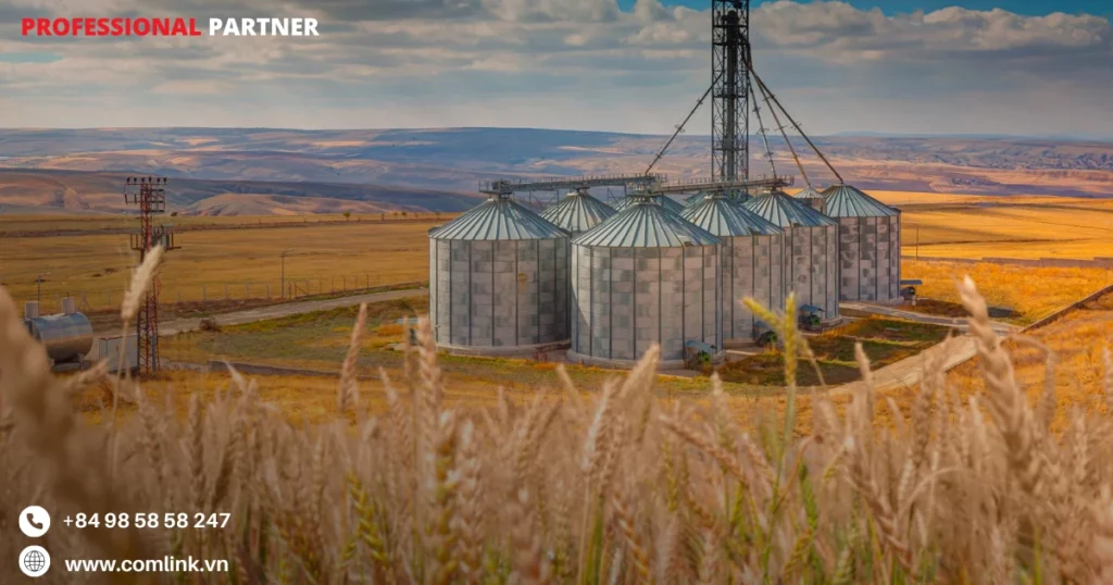 Khó khăn quản lý silo chứa ngũ cốc