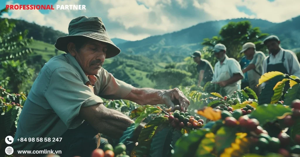 Thiết lập tình huống tùy chỉnh cho giải pháp