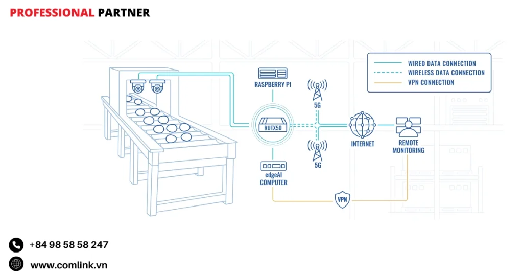 Đặc điểm tự động hóa trang trại trứng