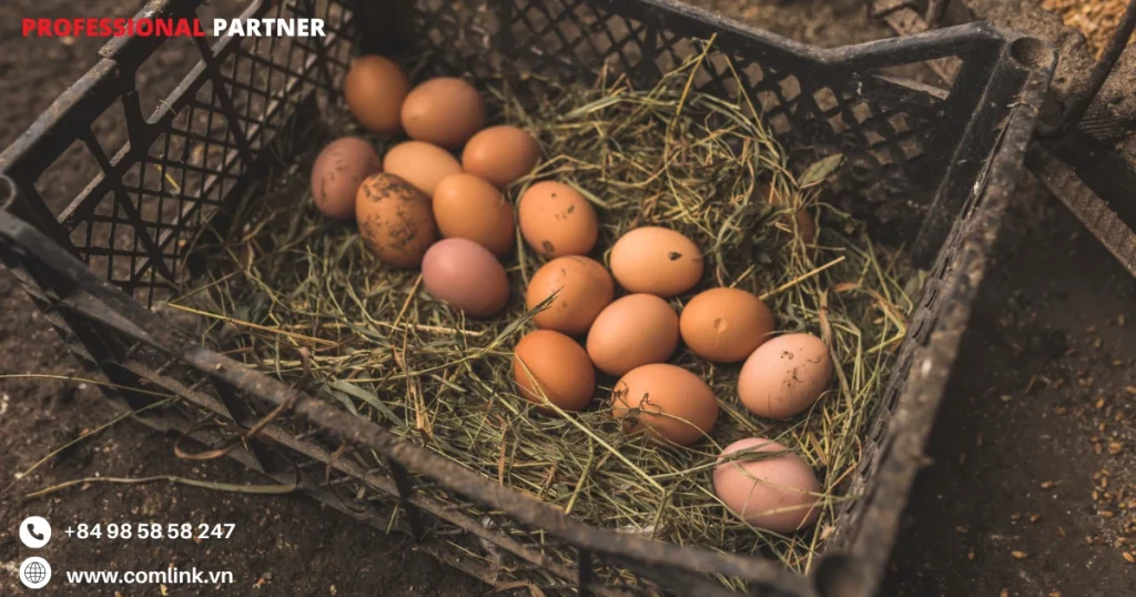 Thiết kế chắc chắn với môi trường trang trại