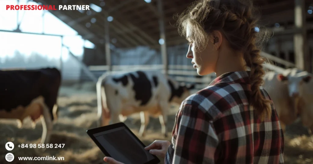 Kết nối dự phòng WAN cho trang trại