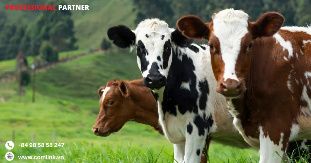 Khó khăn giám sát khí thải chăn nuôi