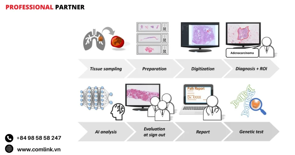 Lợi ích của AI trong giải phẫu bệnh
