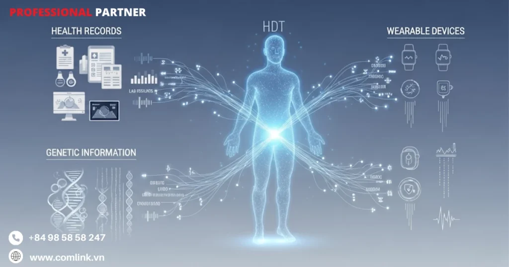 Thành phần của mô hình HDT