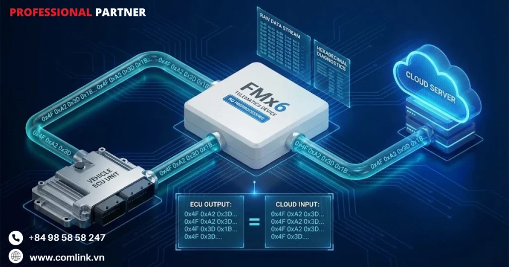 Truyền dữ liệu thô để tối đa linh hoạt