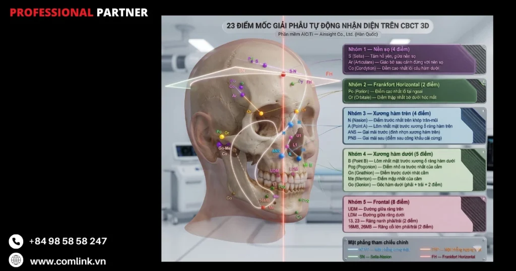 23 Điểm mốc giải phẫu