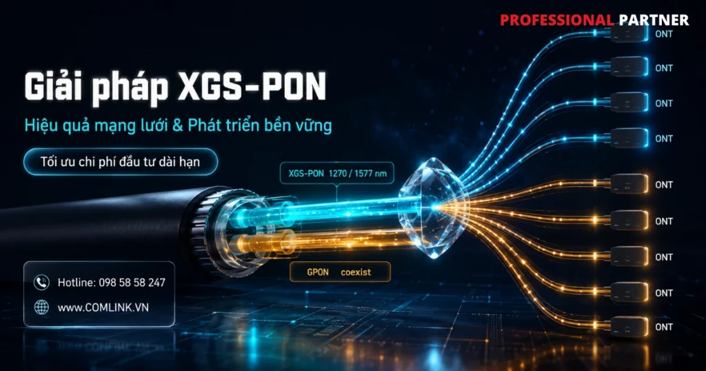 Hiệu quả mạng lưới và phát triển bền vững