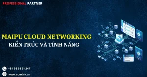 Maipu Cloud Networking